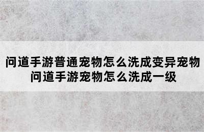 问道手游普通宠物怎么洗成变异宠物 问道手游宠物怎么洗成一级